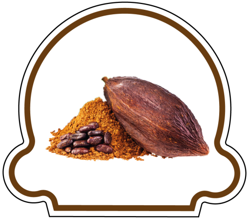 Sorbet Cacao