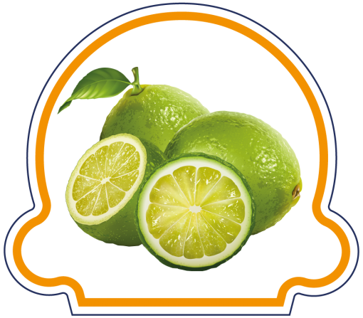 Sorbet Citron Vert