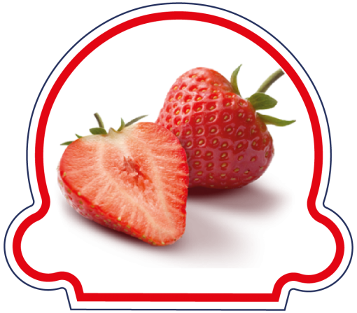 Sorbet Fraise avec Morceaux