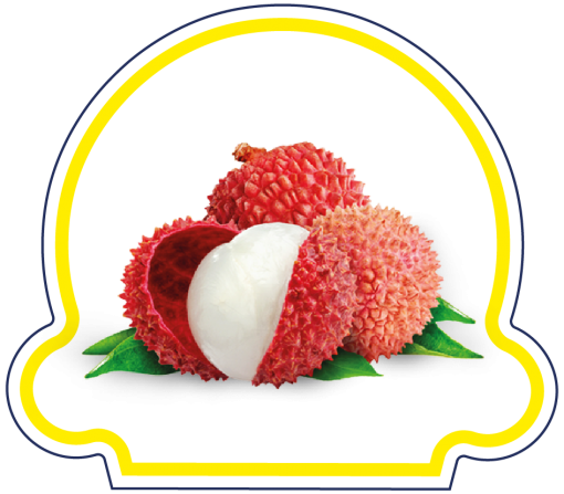 Sorbet Litchi