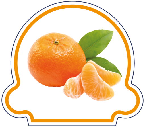 Sorbet Mandarine