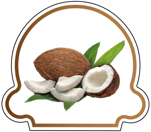 Crème Glacée Noix de Coco