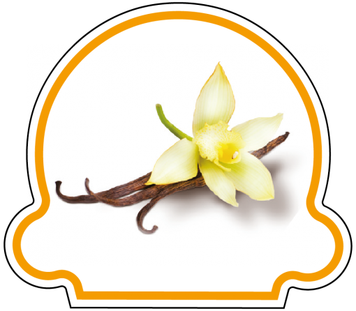 Crème Glacée Vanille Bourbon