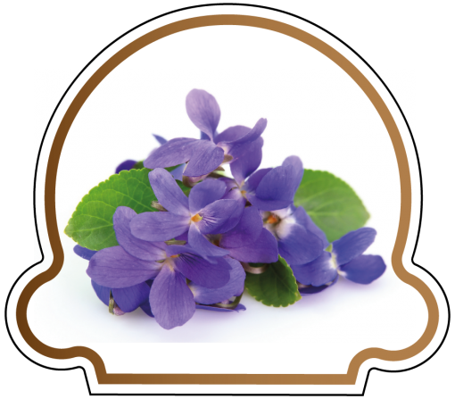 Crème Glacée Violette