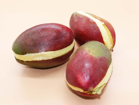 Mangue Givrée