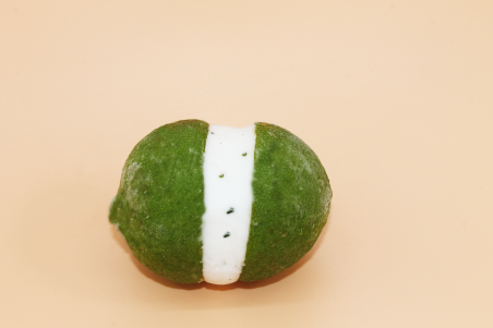 Citron Vert Menthe Givré