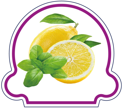 Sorbet Citron Jaune Basilic