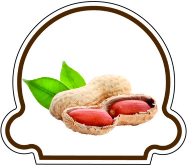 Crème Glacée Cacahuètes Torréfiées