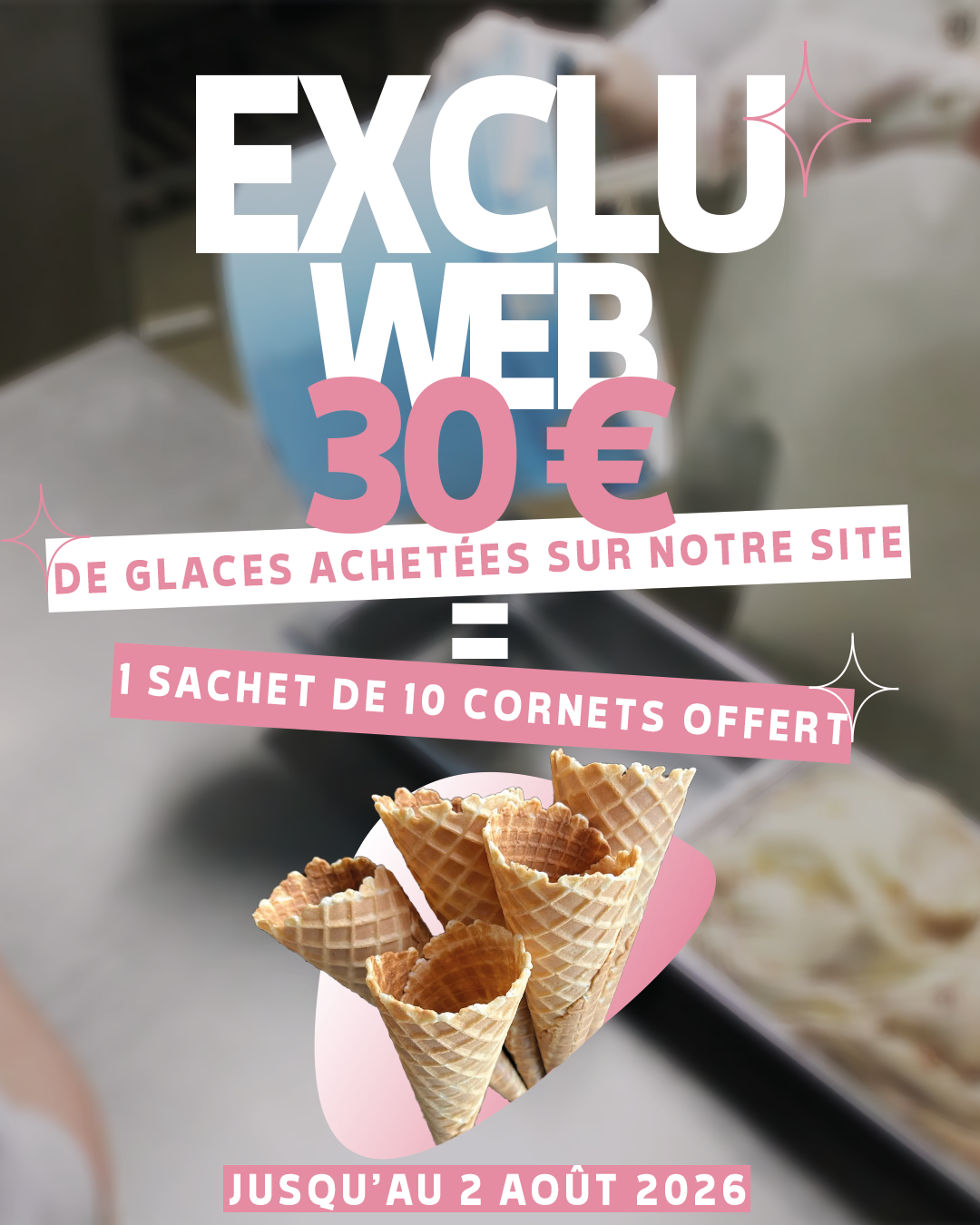 EXCLU WEB.png